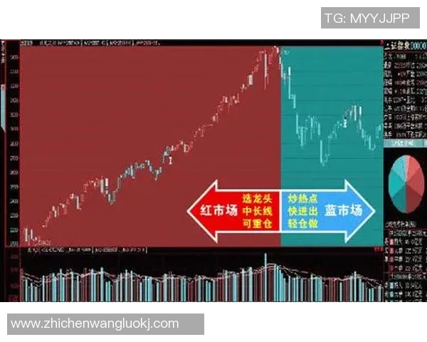 上海极限运动队防守策略解析与热点趋势探讨